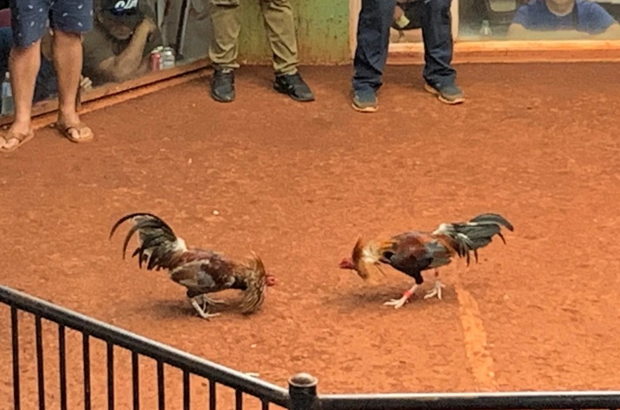 Chế Độ Dinh Dưỡng "Ép Khuôn" (Tránh Vỡ Trạng)