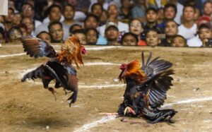 Giải Quyết Vấn Đề Nâng Cao & Lời Khuyên Chuyên Gia