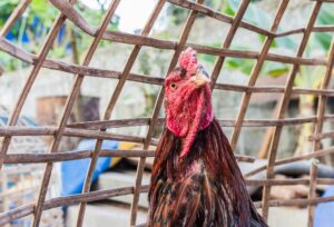 Chế Độ Sinh Hoạt & Luyện Tập: Những Điều Cấm Kỵ