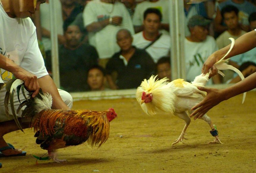 Chế độ dinh dưỡng phục hồi chuyên biệt (Hồi sức - Tăng gân lực)