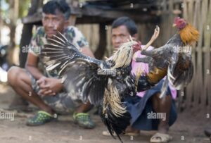 Giải Quyết Vấn Đề Nâng Cao & Lời Khuyên