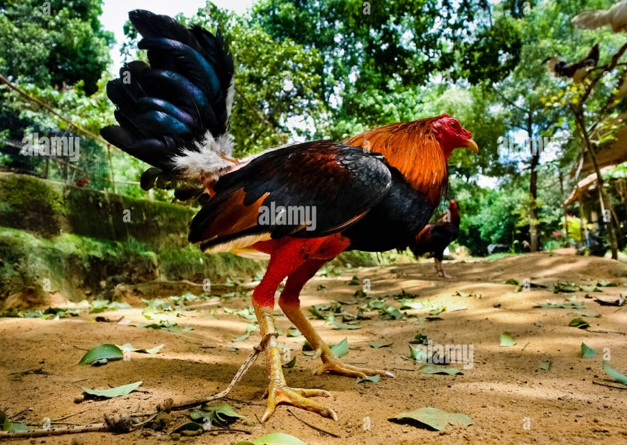 Theo dõi và ghi chép cân nặng hàng ngày